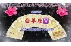 月感情运势塔罗（7月爱）开元棋牌网站感情